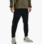 Штаны мужские Under Armour Pants Ua Terrain Woven Ankle Black 1370512-001