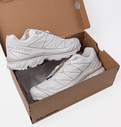Кроссовки мужские Salomon Xt-6 Adv White 412529