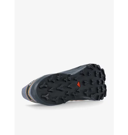 Кросівки чоловічі Salomon Thundercross Gtx Grey 473831