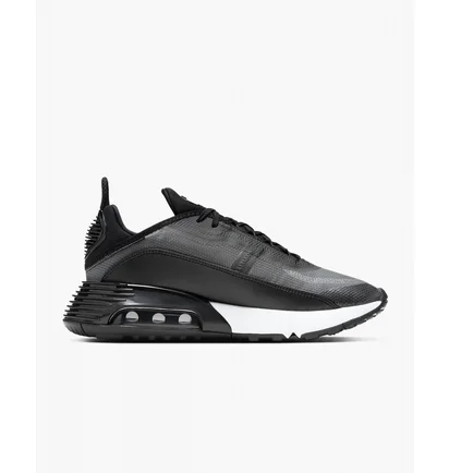 Кросівки чоловічі Nike Air Max 2090 Black CW7306-001