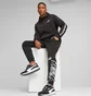 Штаны мужские Puma Essentials Block Camo Black 673339-01