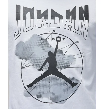 Лонгслив мужской Air Jordan T-Shirt Sport White FD7004-100