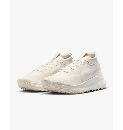 Кросівки чоловічі Nike Pegasus Trail 4 Gore-Tex Beige DJ7926-007