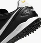 Сороконіжки чоловічі Nike Premier Iv Tf Black FV5971-002