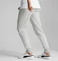 Штаны мужские Puma Essentials+ 2 Col Logo Grey 586767-04