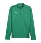 Кофта мужская Puma Teamgoal Training 1/4 Sweatshirt Rits Green 658629-05