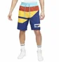 Шорти чоловічі Nike Flight City Multi BV9412-492