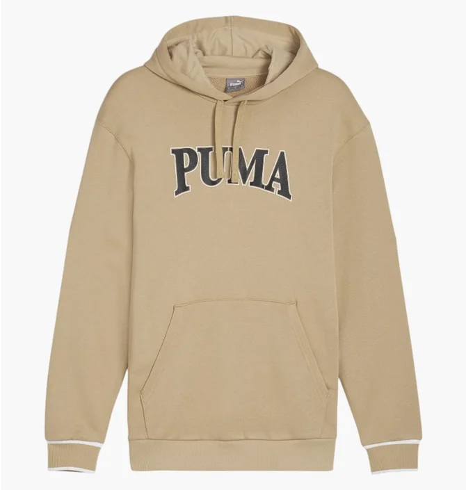 Худи мужское Puma Squad Beige 678969-83