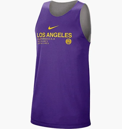 Майка мужская Nike Nba Los Angeles Lakers Standard Issue Reversible Violet CN0716-504