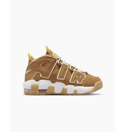 Кросівки дитячі Nike Big Kids Shoes Brown Dq4713-700