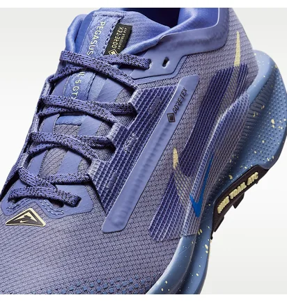 Кроссовки женские Nike W Pegasus Trail 5 Gtx Blue FQ0912-402
