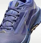 Кроссовки женские Nike W Pegasus Trail 5 Gtx Blue FQ0912-402