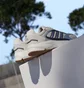Кросівки чоловічі Adidas Crazychaos 2000 Beige/Metallic IG4351