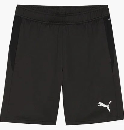 Шорти чоловічі Puma Teamgoal Training Shorts Black 658643-03