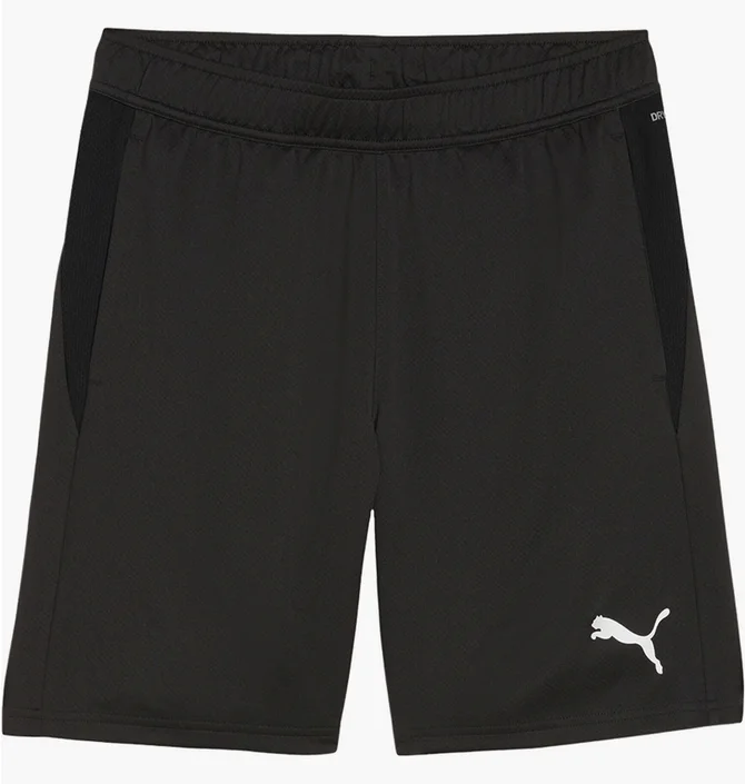 Шорти чоловічі Puma Teamgoal Training Shorts Black 658643-03