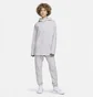 Худі унісекс Nike Sportswear Grey DR7844-511