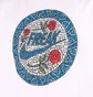 Футболка чоловіча Nike Giannis Antetokounmpo Freak Swoosh White DD0771-100