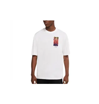 Футболка мужская Air Jordan Zion Dri-Fit White DH0592-100
