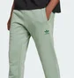 Штаны мужские Adidas Trefoil Essentials French Terry Green JD2427