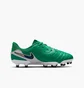 Бутсы детские Nike Legend 10 Academy Fg/Mg Lv8 Green HJ7190-300