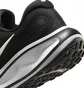 Кроссовки женские Nike W Journey Run Black FJ7765-001