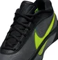 Кроссовки унисекс Nike Giannis Freak 6 Grey/Black FJ7792-001