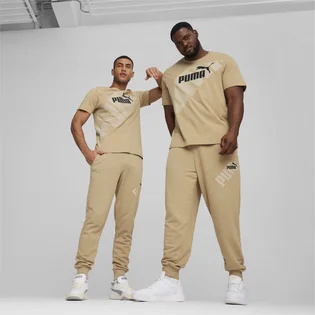 Штани чоловічі Puma Power Graphic Beige 678936-83
