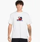Футболка мужская Nike Sb Strawberry White HV1302-100