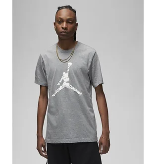 Футболка мужская Air Jordan T-Shirt Essentials Grey DX9581-091