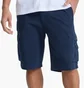 Шорти чоловічі Quiksilver Bass Blue AQYWS00092-BPC0