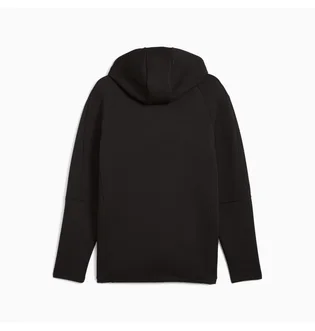 Толстовка мужская Puma Evostripe Core Fz Hoodie Black 631529-01