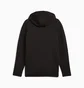 Толстовка мужская Puma Evostripe Core Fz Hoodie Black 631529-01