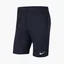 Шорти чоловічі Nike Park 20 M Blue Cw6152-451