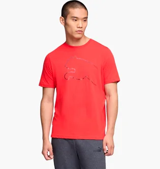 Футболка мужская Puma House Of Graphics Red 691933-11