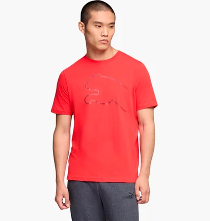 Футболка мужская Puma House Of Graphics Red 691933-11