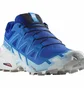Кроссовки мужские Salomon Speedcross 6 Trail Running Shoes Blue L47301700