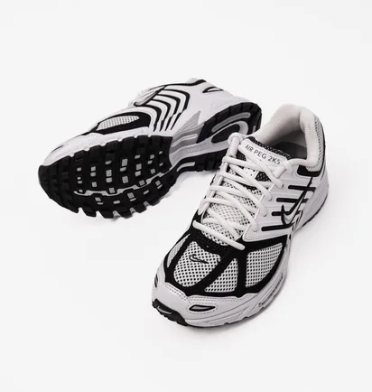 Кроссовки мужские Nike Air Pegasus 2005 White/Grey FJ1909-100