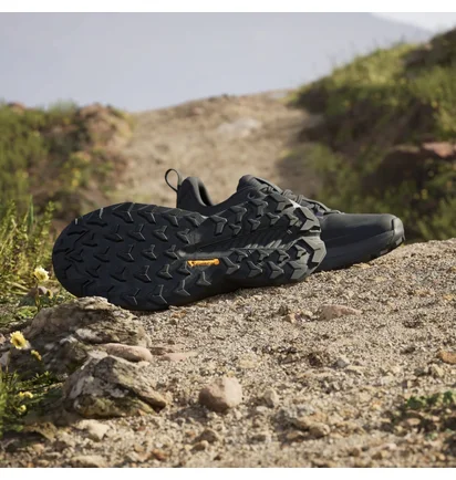Кроссовки женские Adidas Terrex Trailmaker 2.0 Gore-Tex Hiking Black IE5154