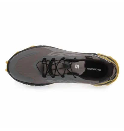 Кроссовки мужские Salomon Supercross 4 Gtx Grey/Brown 473172