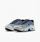 Кросівки дитячі Nike Air Max Plus Grey CD0609-019