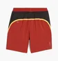 Шорты мужские Puma Run Fav Velocity 7 Running Shorts Red 525005-63