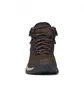 Ботинки женские Columbia Newton Ridge Plus Brown 1424692231