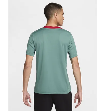 Футболка мужская Nike Lfc M Dri-Fit Strk Ss Top K Turquoise FN9838-362