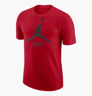 Футболка мужская Air Jordan T-Shirt Nba Chicago Bulls Essential Red FD1460-657
