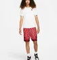 Шорти чоловічі Nike M J Df Sprt Aop Dmnd Short Red DH9079-687