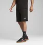 Шорти чоловічі Puma Puma Essentials 2 Color Logo Black 684715-01