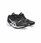 Кроссовки женские Asics Sky Elite Ff Mt Black 1052A054-001