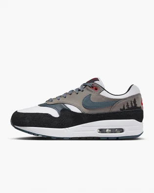 Кросівки чоловічі Nike Air Max 1 Premium Shoes Brown FJ0698-100