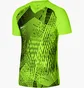 Футболка мужская Nike Dri-Fit Precision 6 Green DR0950-702