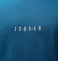 Футболка мужская Air Jordan Embroidered Crew Light Blue DM3182-457